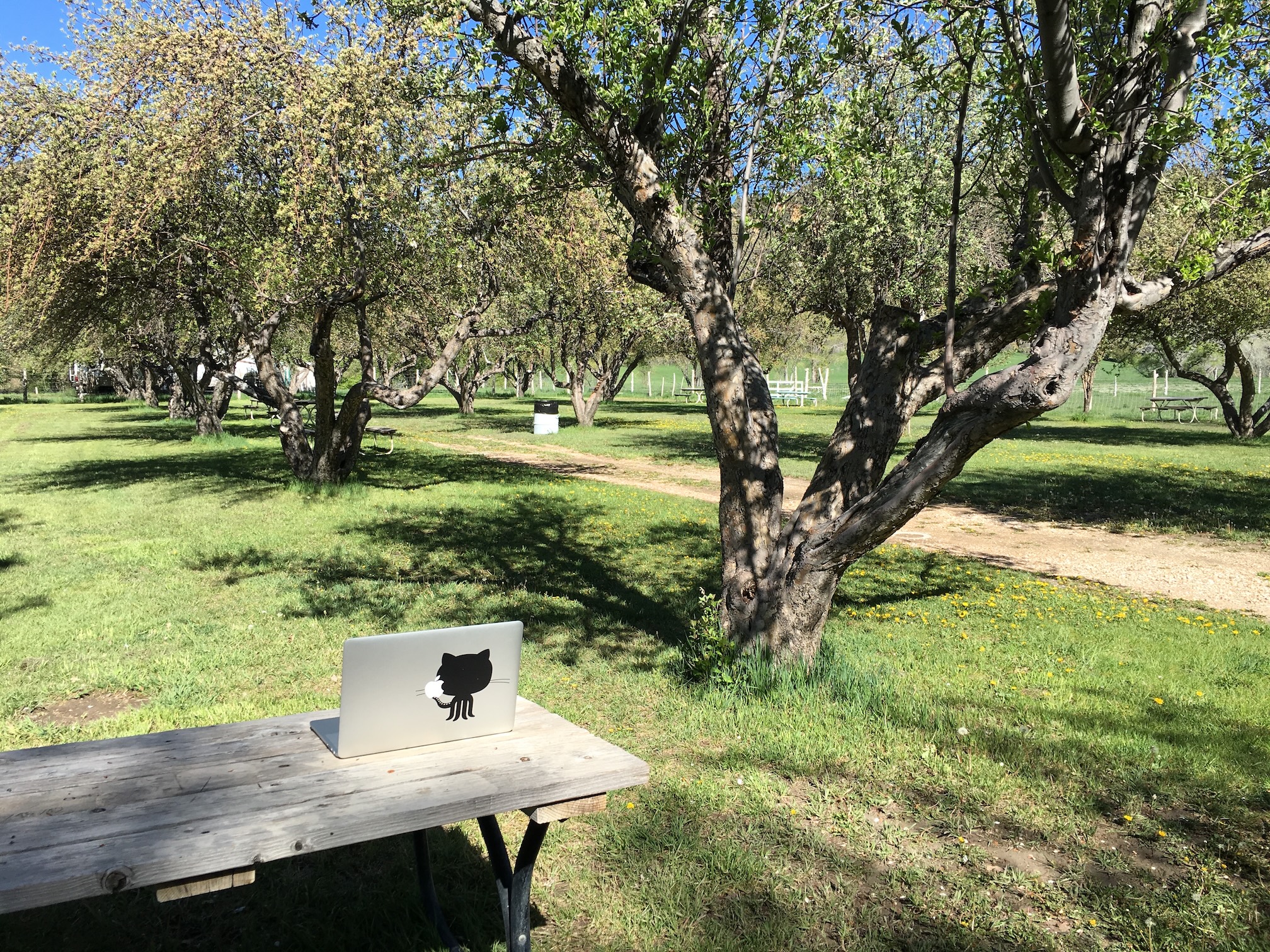 The picnic bench at Mt Carmel Junction, Utah, where JOSS was launched from – May 2016.